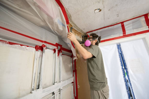 Asbestos and Lead Testing During Mold Inspection in Westminster, CA